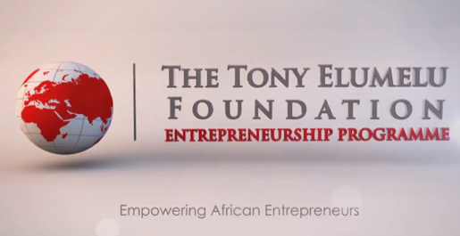 Tony Elumelu Foundation logo